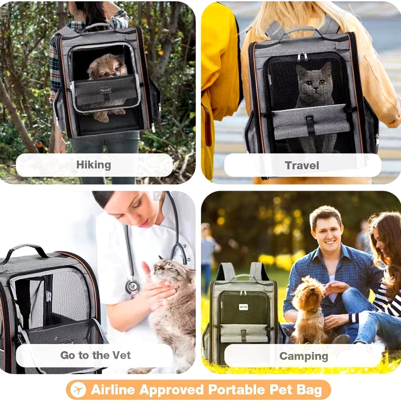 Portable Double Shoulder Cat Bag, Foldable Puppy Backpack, and  Pet Bag
