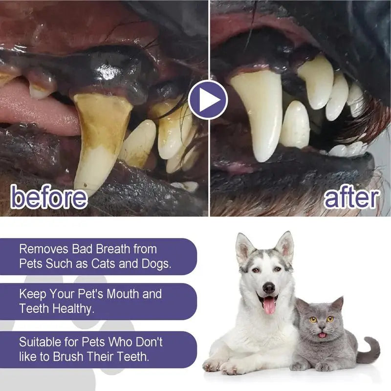 Pet Oral Repair Gel Tooth Repair Teeth Brushing Cleaner Natural Dogs Cats Toothpaste Gel 