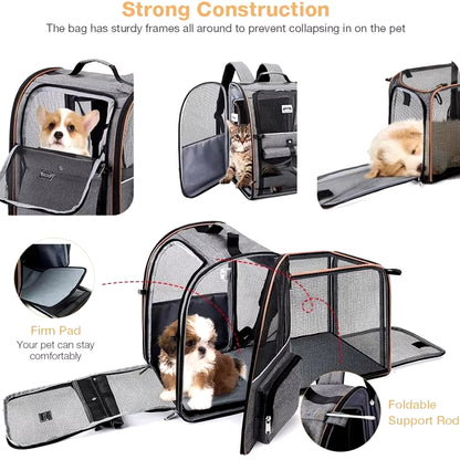 Portable Double Shoulder Cat Bag, Foldable Puppy Backpack, and  Pet Bag