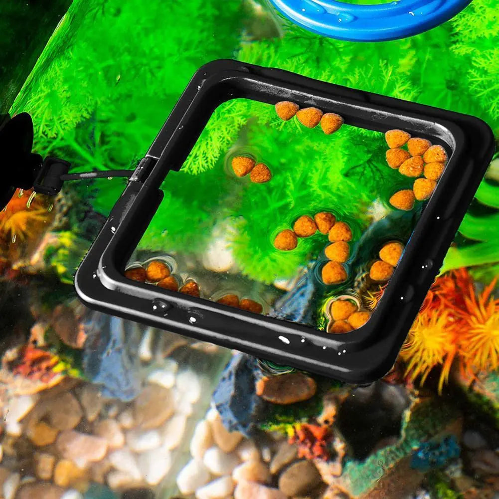 Fish Food Feeding Ring  Fish Tank Fish Feeder for Tropical Fish  Assistant Pet Aquarium 